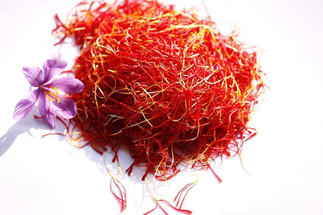 Saffron Harvesting