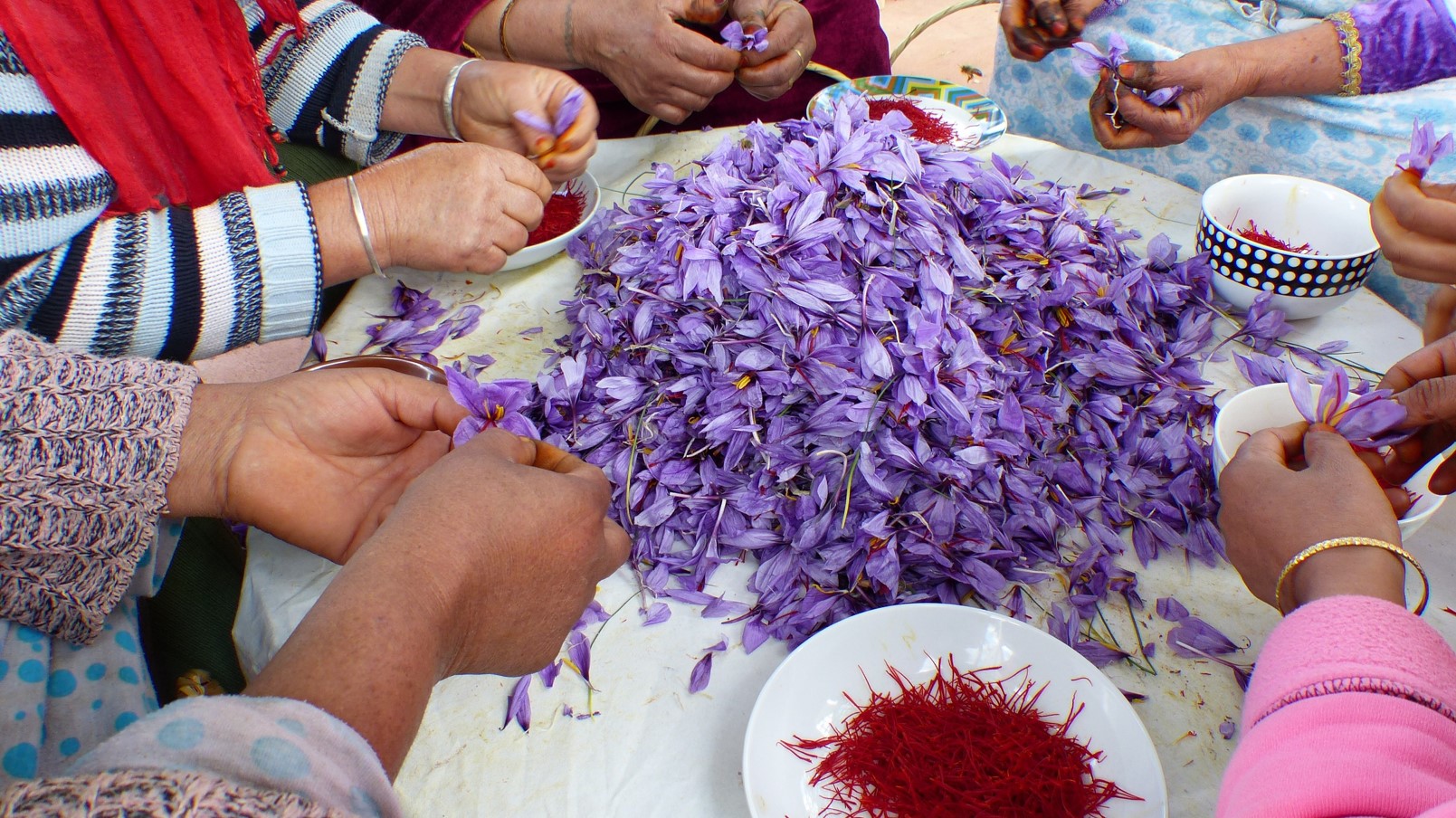 Sapphire Kashmiri Saffron